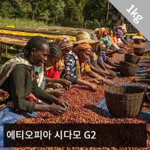 [생두] 에티오피아 시다모 G2(Washed) 1kg